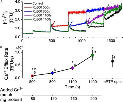 Total Matrix Ca2+ Modulates Ca2+ Efflux via the Ca2+/H+ Exchanger in Cardiac Mitochondria